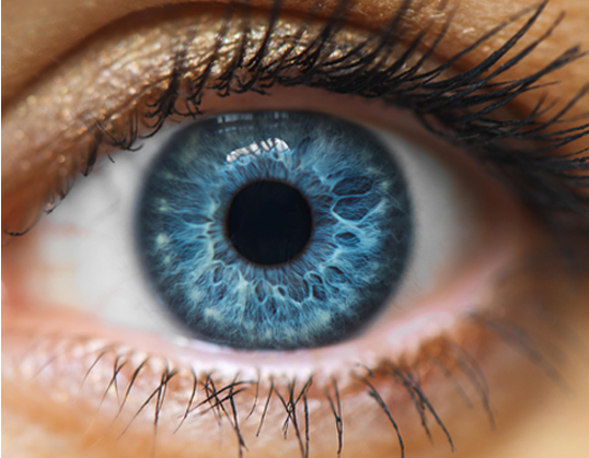 Iridology